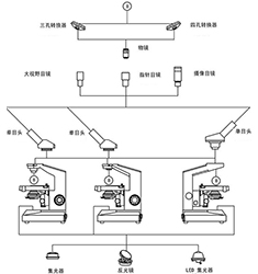 BI-13 單目生物顯微鏡