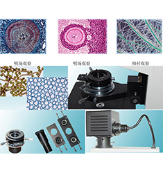 BID-100 倒置相襯生物顯微鏡