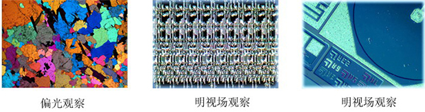 金相顯微鏡