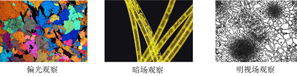 金相顯微鏡