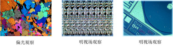 金相顯微鏡觀察