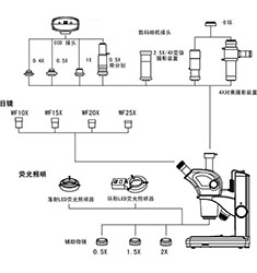 SMAS-17 體視顯微鏡圖像測量分析系統(tǒng)
